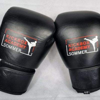 Boxhandschuhe Leder „Kickbox Academy Sommer“